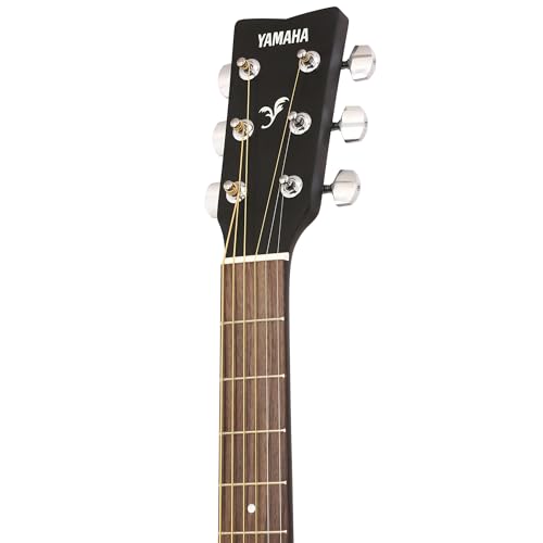 Serenade 🎶 Your Cat 😻with the Yamaha FSX80C Guitar🎸