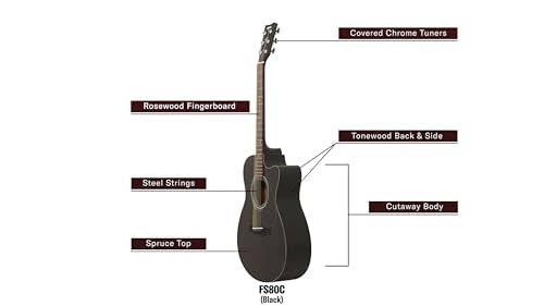 Serenade 🎶 Your Cat 😻with the Yamaha FSX80C Guitar🎸