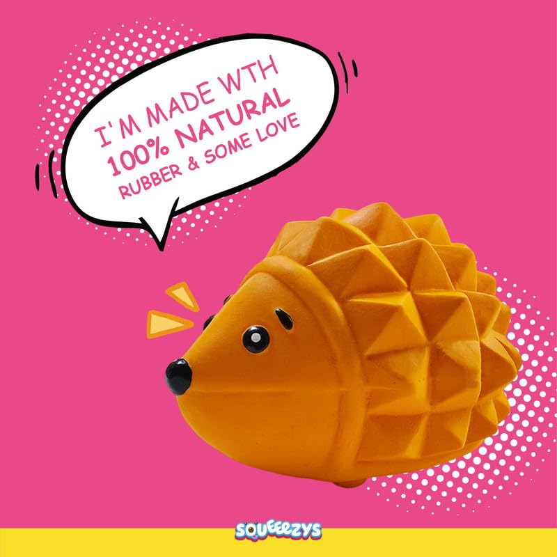 Squeaky Hedgehog ๐ฆ Chew Toy โ The Spiky, Squeaky Stress Reliever for Your Pooch! ๐พ