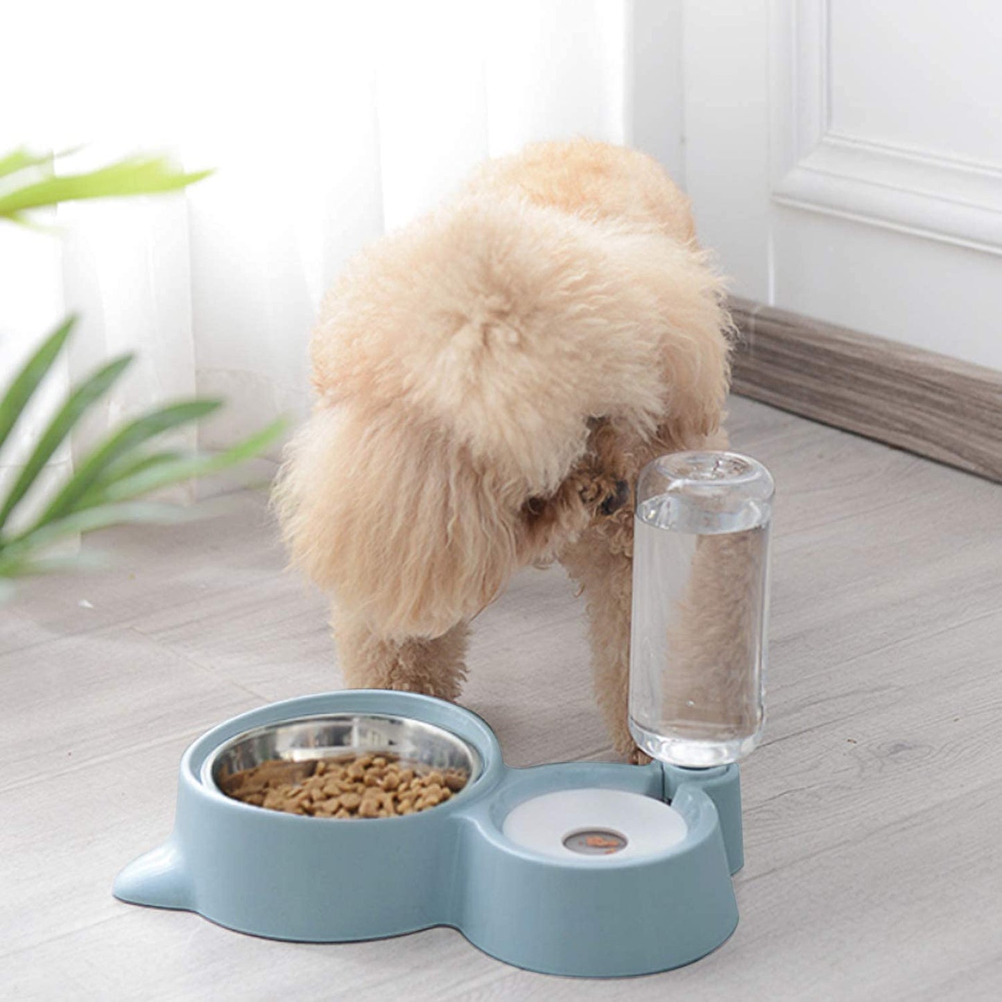 The All-in-One Diner for Da Cat 😺 - 2 in 1 Bowl for Water 💦 and Food🐟