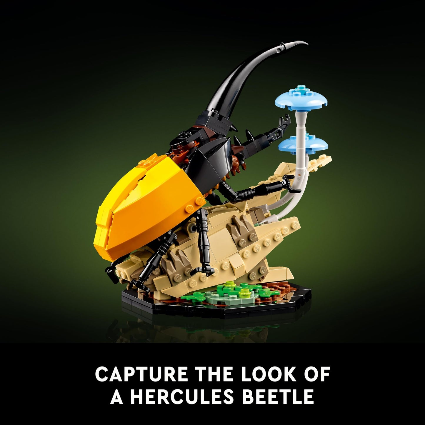 The Insect 🦗Collection LEGO Set for Adults (1,111 Pieces)