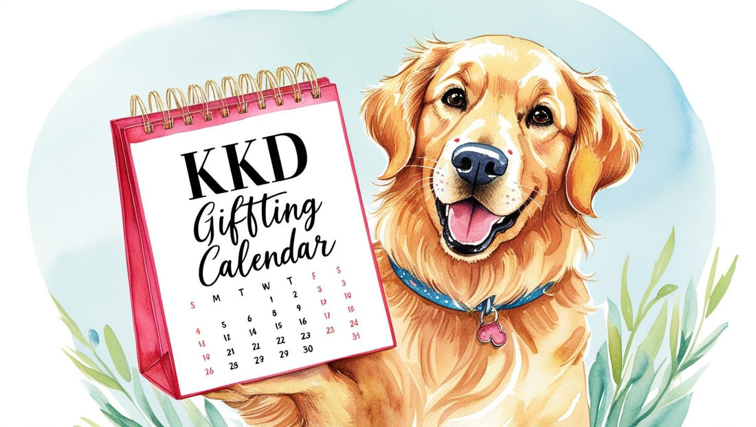 🎁 The 2025 India Gifting Survival Calendar – "Oh No, I Forgot!" Isn’t a Strategy! 😂